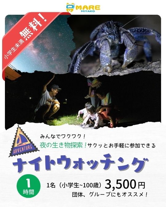 ナイトバナー