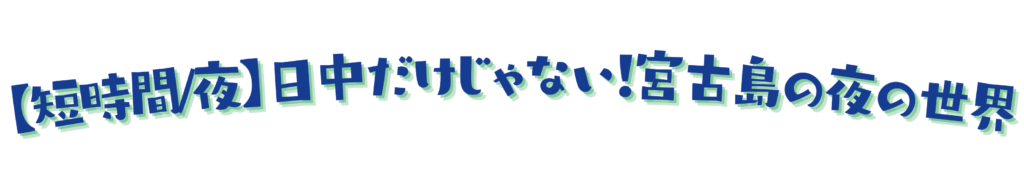 短時間で宮古島の夜の自然や星空を満喫するナイトツアーの案内