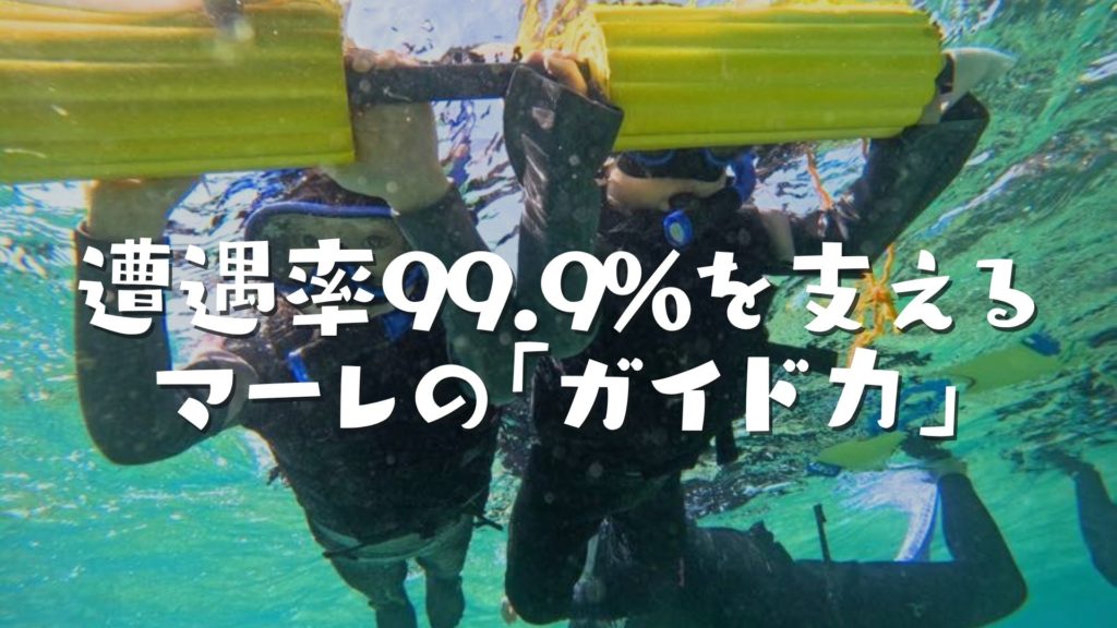 遭遇率99.9%を支えるマーレの「ガイド力」