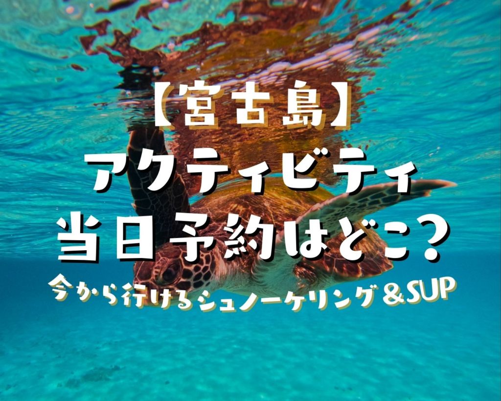 宮古島アクティビティ当日予約はどこ？今から行けるシュノーケリング＆SUP | マーレ宮古島