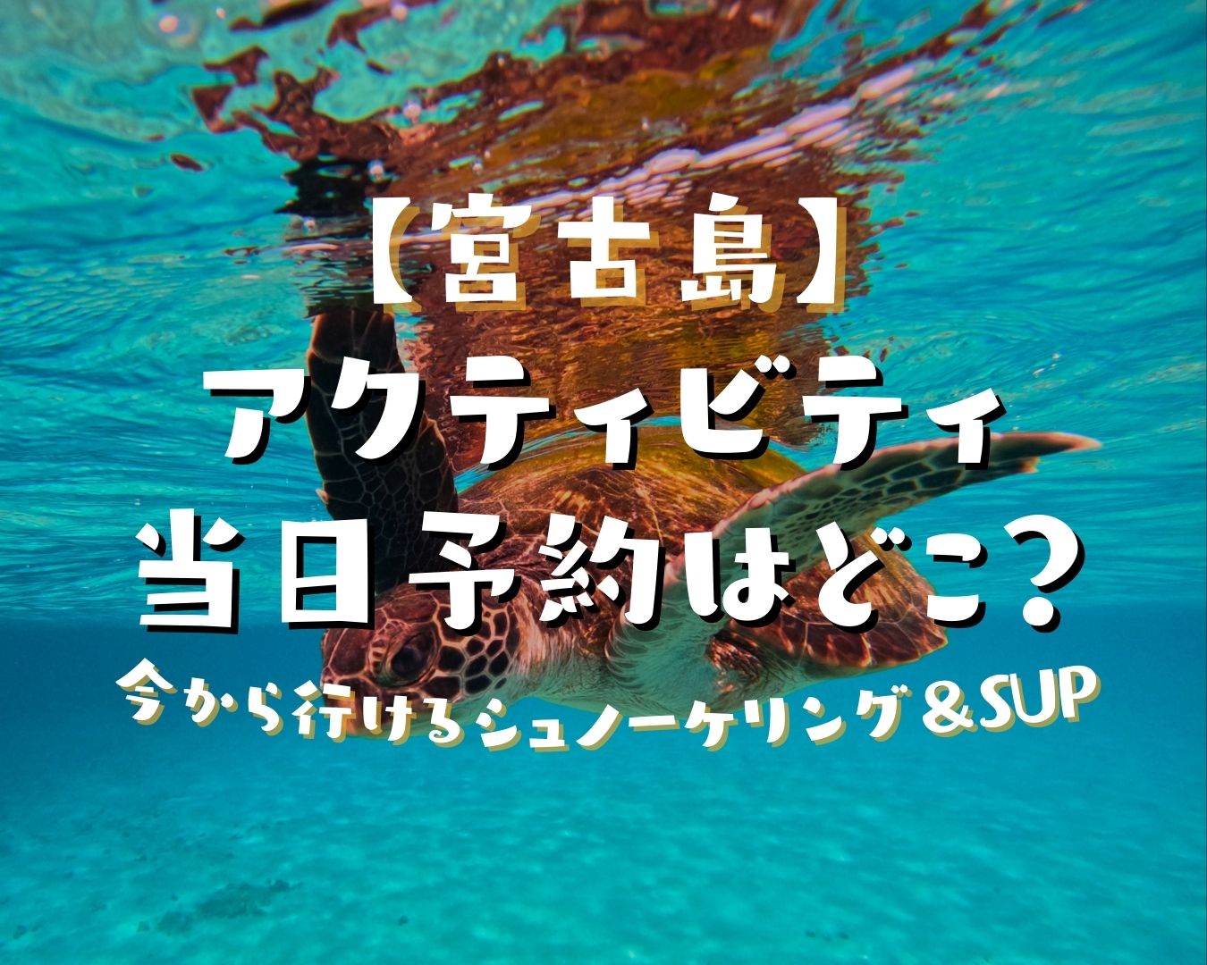 宮古島アクティビティ当日予約はどこ?今から行けるシュノーケリング&SUP | マーレ宮古島