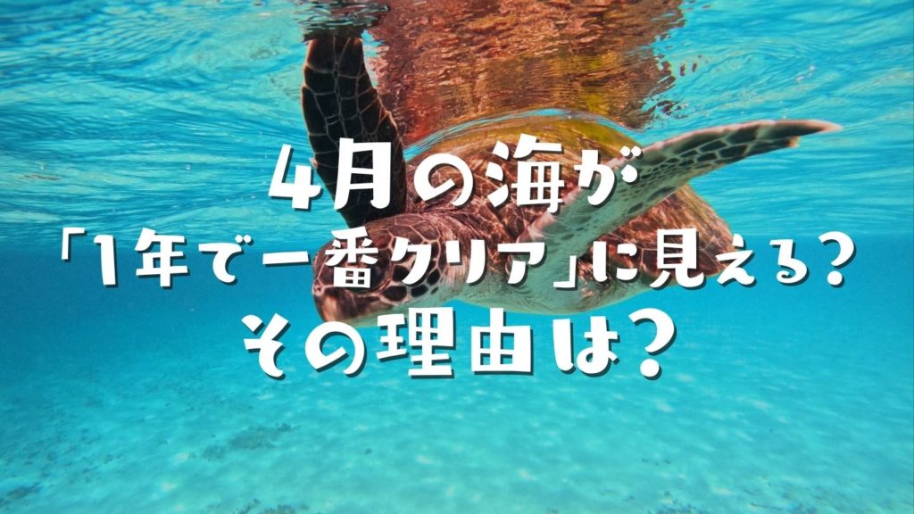 4月の海が「1年で一番クリア」に見える？その理由は？