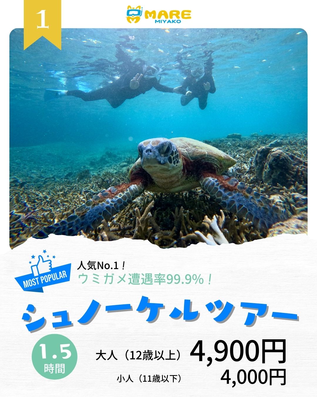 シュノーケリング